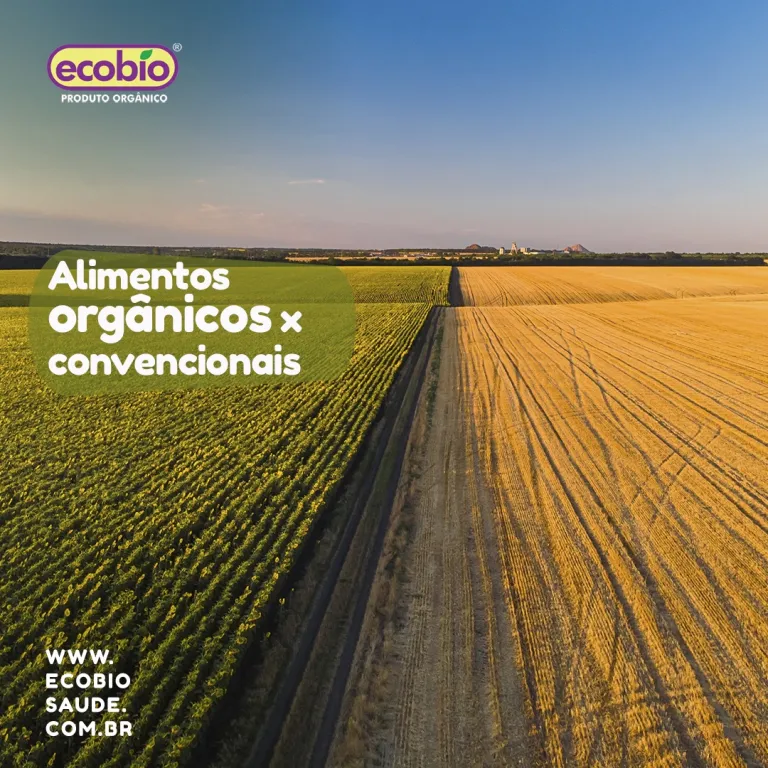 Alimentos  orgânicos x  convencionais